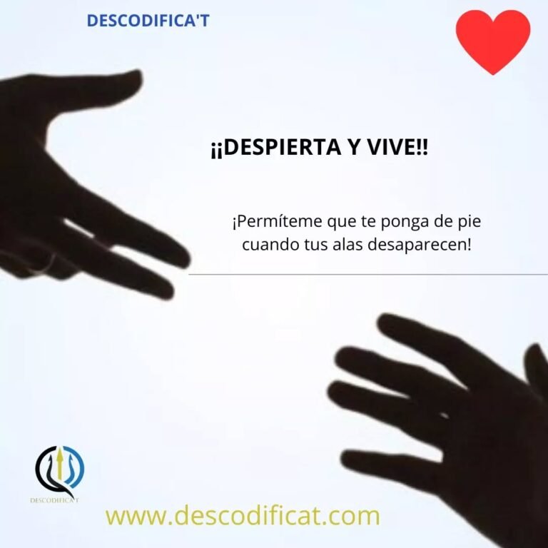 Instagram post from dscodificat. This post is in position 4.