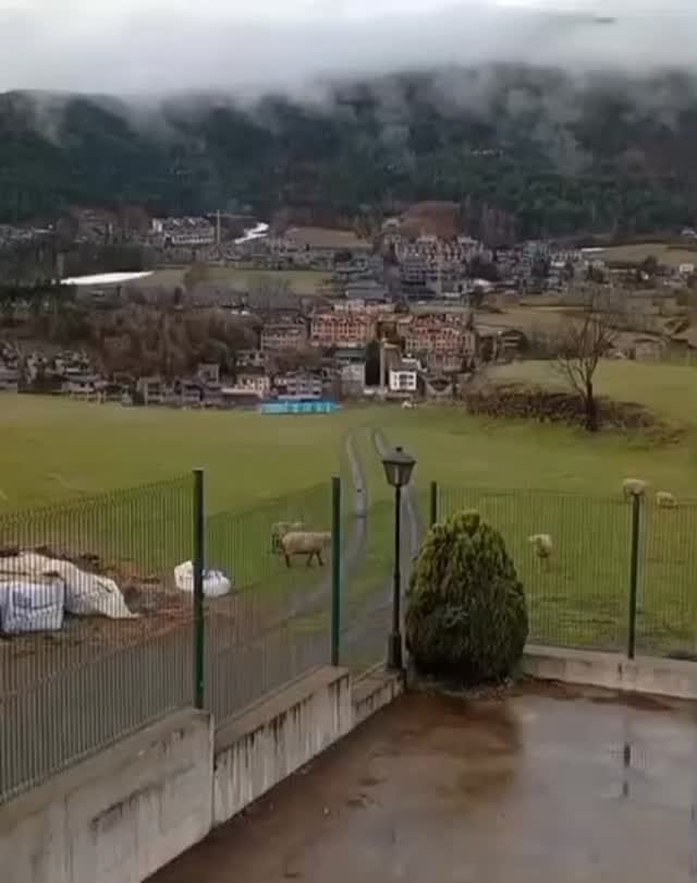 Instagram post from dscodificat. This post is in position 5.