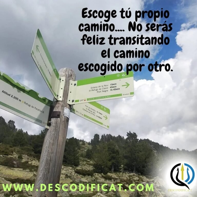 Instagram post from dscodificat. This post is in position 3.