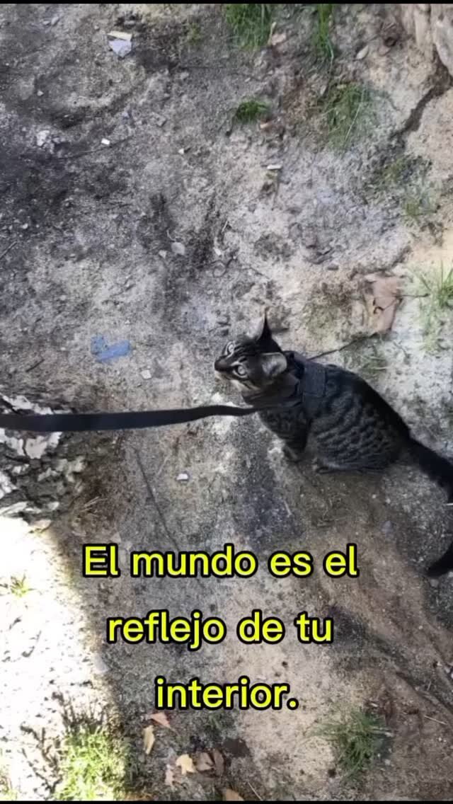 Instagram post from dscodificat. This post is in position 3.