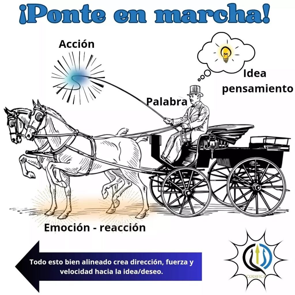 Instagram post from dscodificat. This post is in position 3.