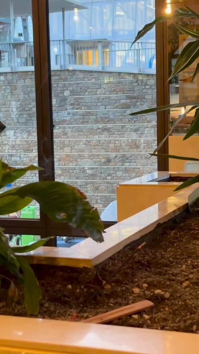 Instagram post from dscodificat. This post is in position 2.