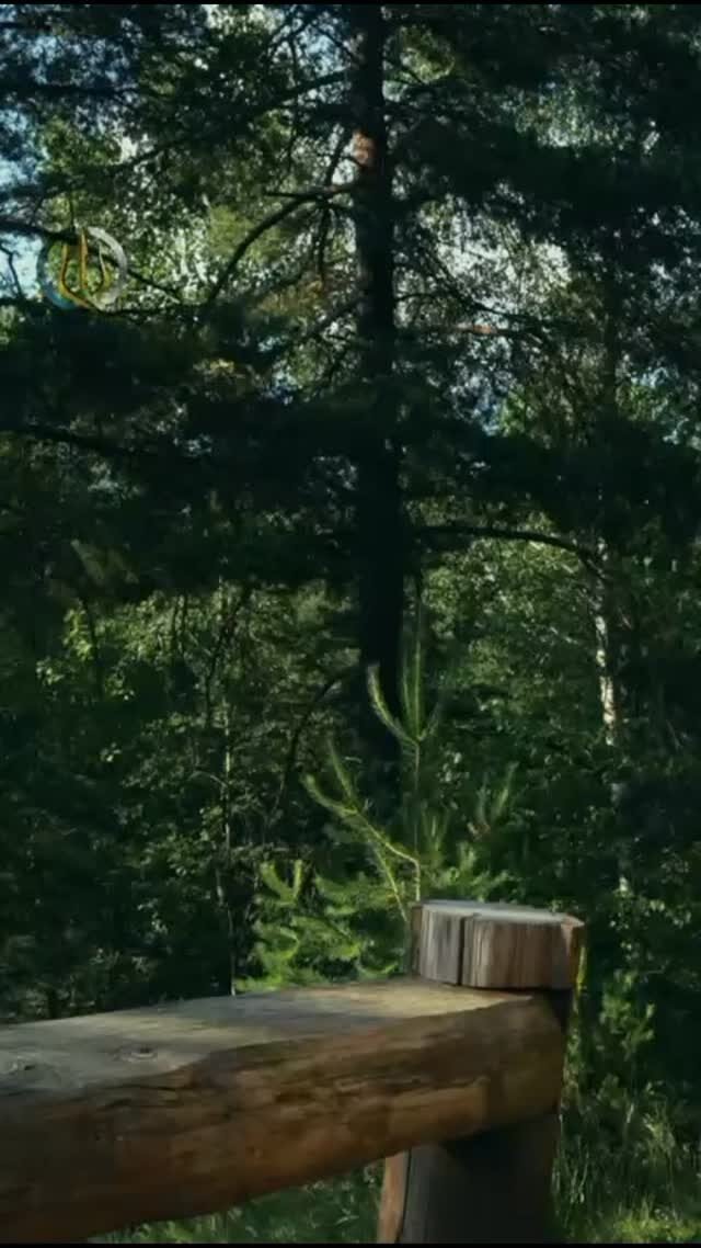 Instagram post from dscodificat. This post is in position 1.