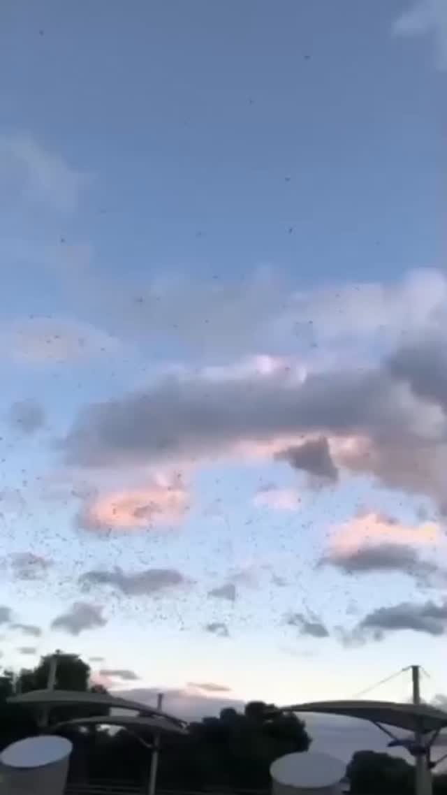 Instagram post from dscodificat. This post is in position 0.