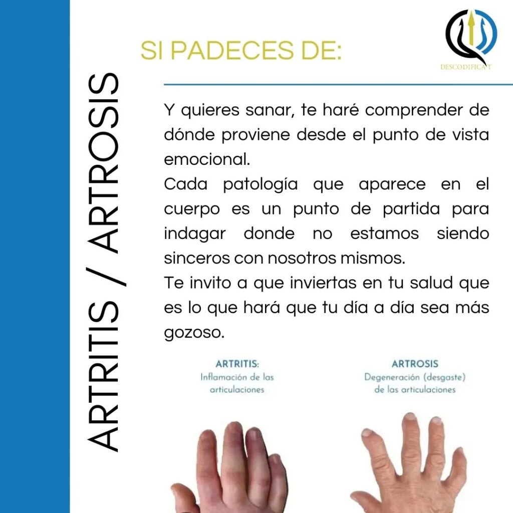 Instagram post from dscodificat. This post is in position 3.